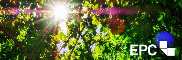 EPC-Newsletter I Ausgabe 6