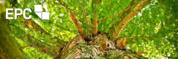 EPC-Newsletter I Ausgabe 4