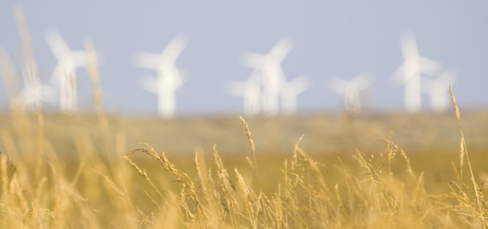 2713811124 3963bdf083 b